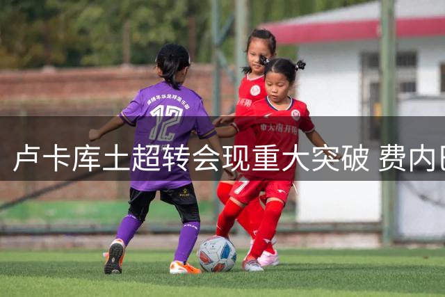 卢卡库土超转会现重大突破 费内巴切接盘获关键让步