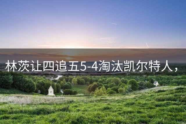 林茨让四追五5-4淘汰凯尔特人，阿德尼兰双响&绝杀